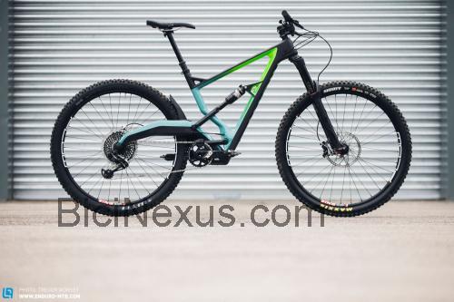 Marin Wolf Ridge ficha tecnica 